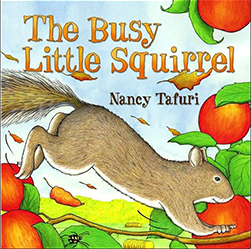 busy little squirrel book cover