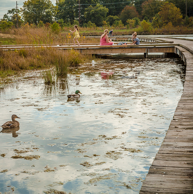 water and ducks at Central Park