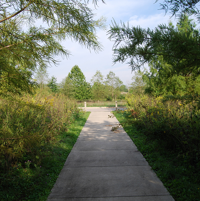 trail at Hazel Landing Park