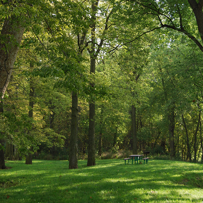 grass and trees at Hazel Landing Park