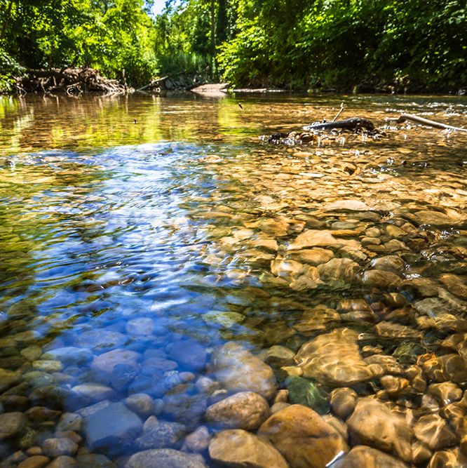 water and rocks at Flowing Well Park