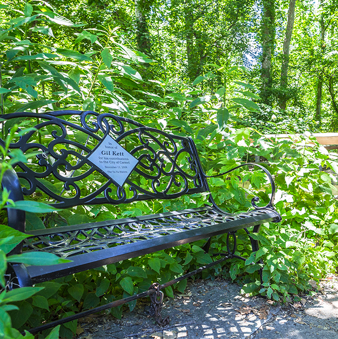 bench at Flowing Well Park