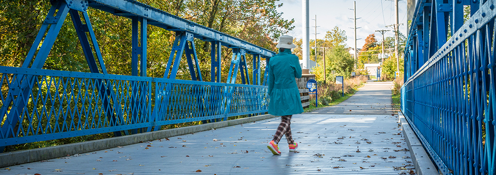 the Greyhound Trail