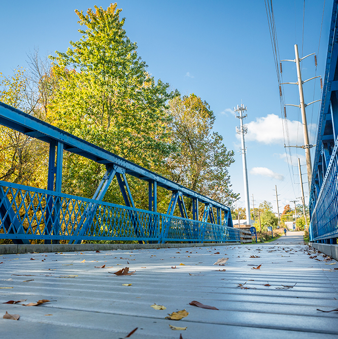 the Greyhound Trail