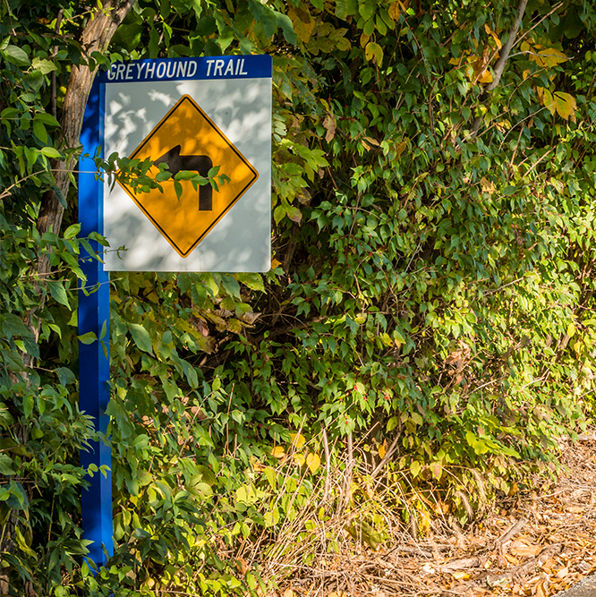 arrow sign on the Greyhound Trail