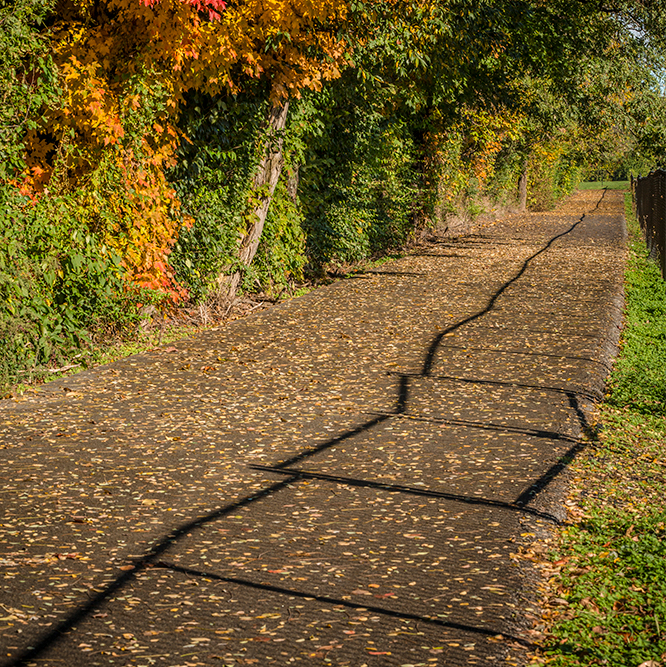 the Greyhound Trail