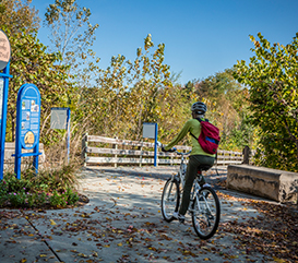 person riding a bike at Hagan-Burke Trail