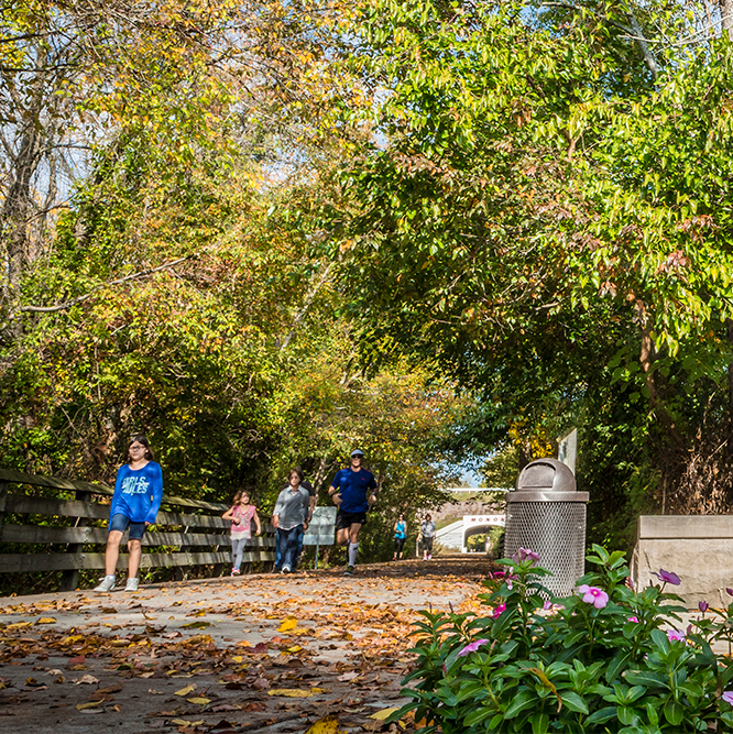 Hagan Burke Trail