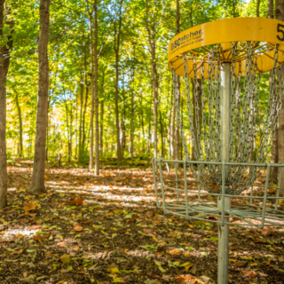 Dog Posing at Disc Golf Course at Hazel Landing Park