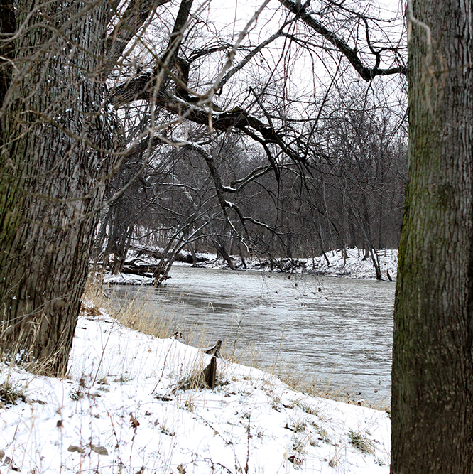 winter at Hazel Landing Park