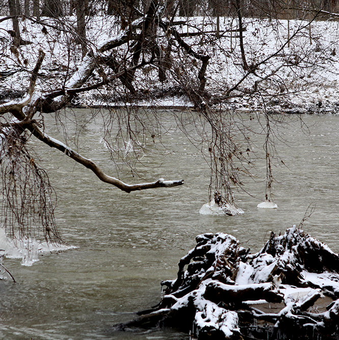 winter at Hazel Landing Park