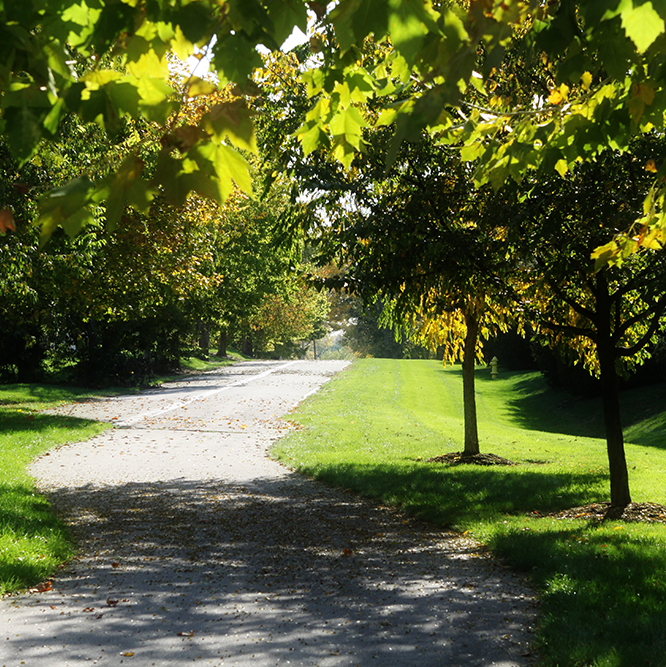 path at Cherry Tree park