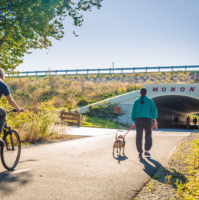 walking a dog on the Monon Greenway