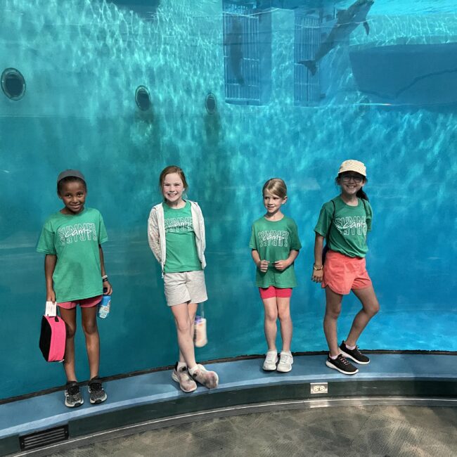 Students stand in the dolphin dome at the zoo.