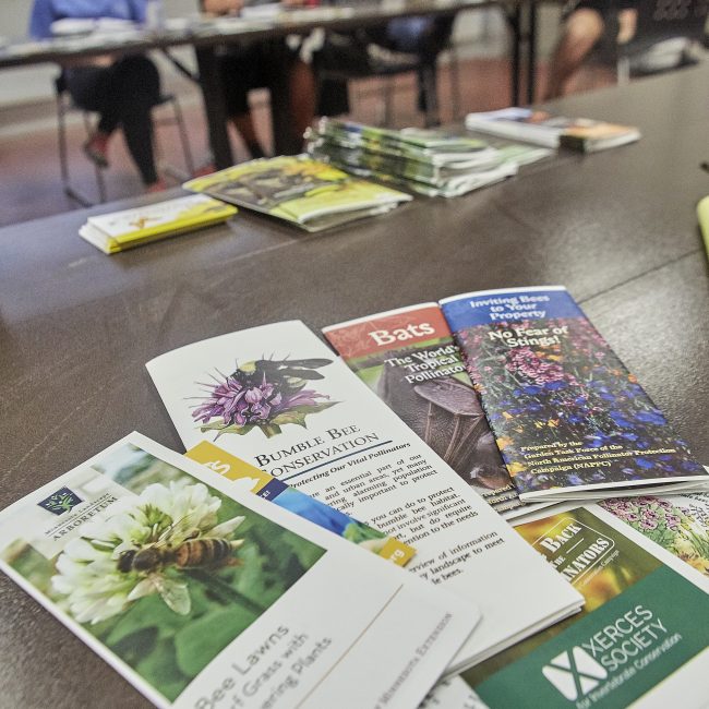 Seniors in a nature program