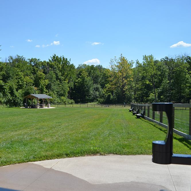 Central dog park in Carmel