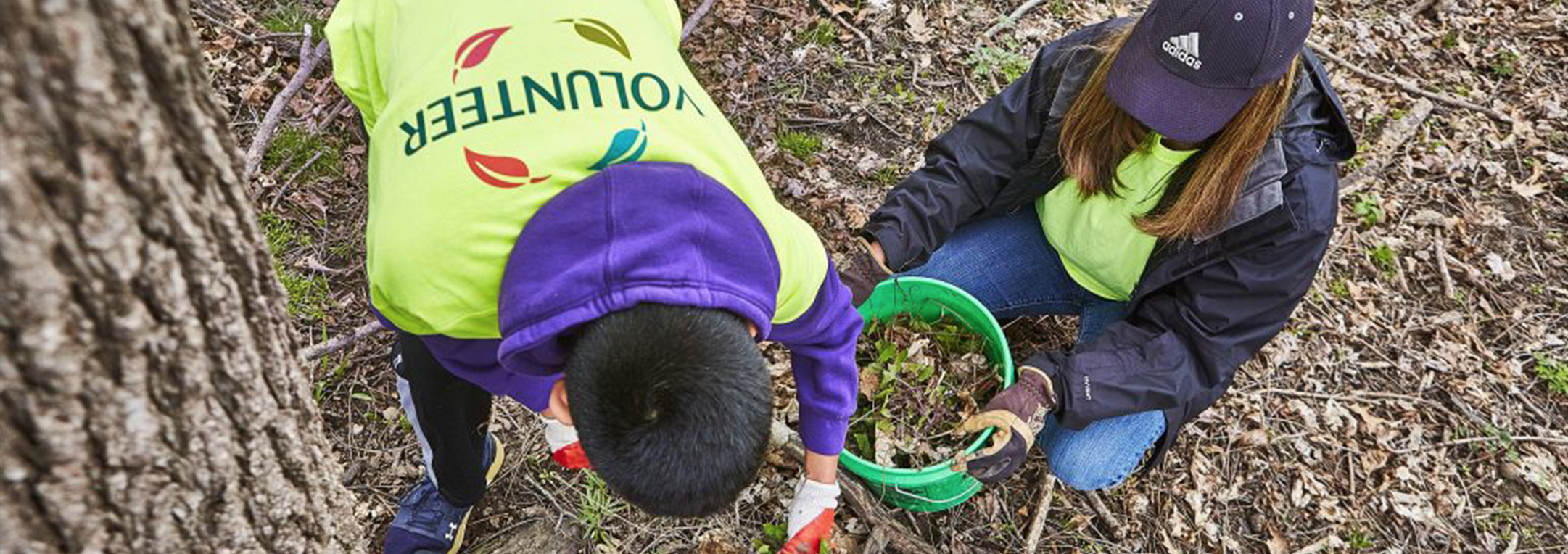 Volunteers in the parks