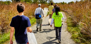 Nature volunteers