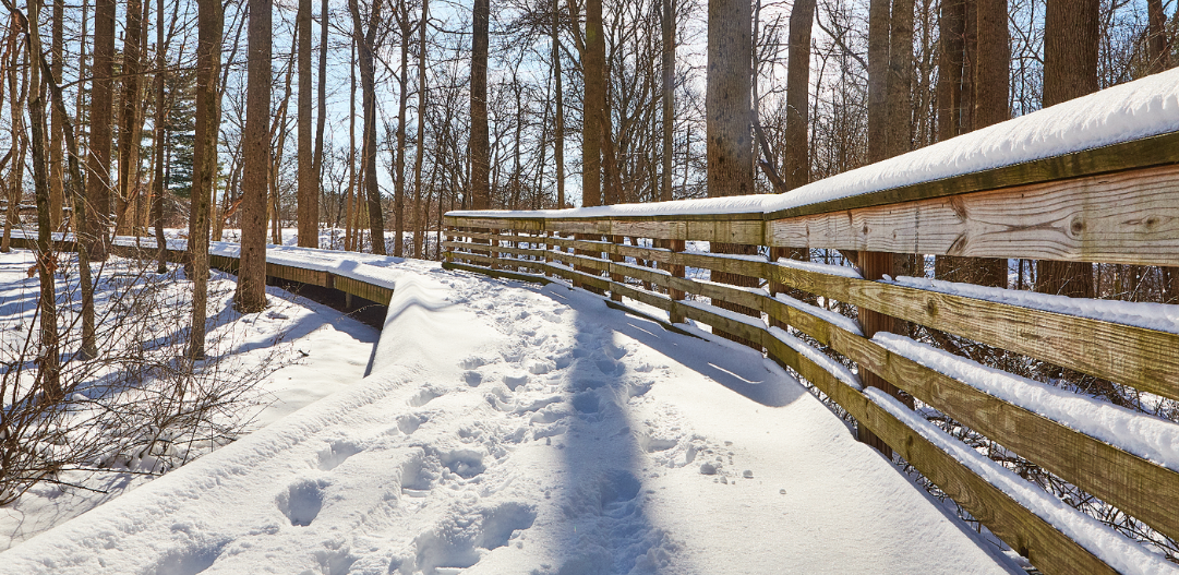 Footprints guide the way through a fresh coat of snow along a boardwalk path in the Central Park East Woods.