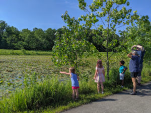 Knee High Naturalist participants on a hike through Central Park. Summer 2019.