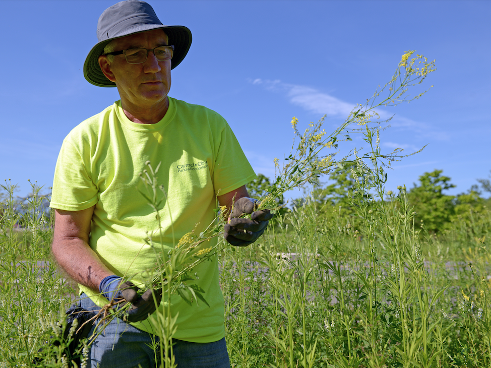 Phil Flannagan at Invasive Species Removal Day at Central Park