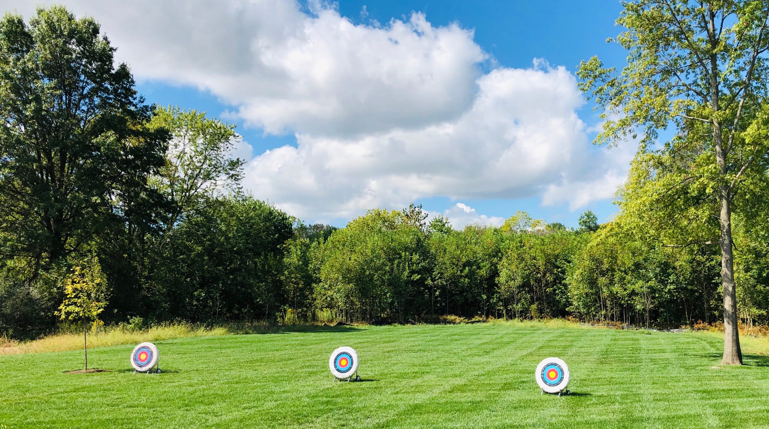 Targets in a field