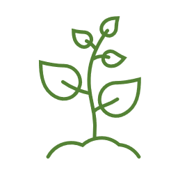 Plants Icon