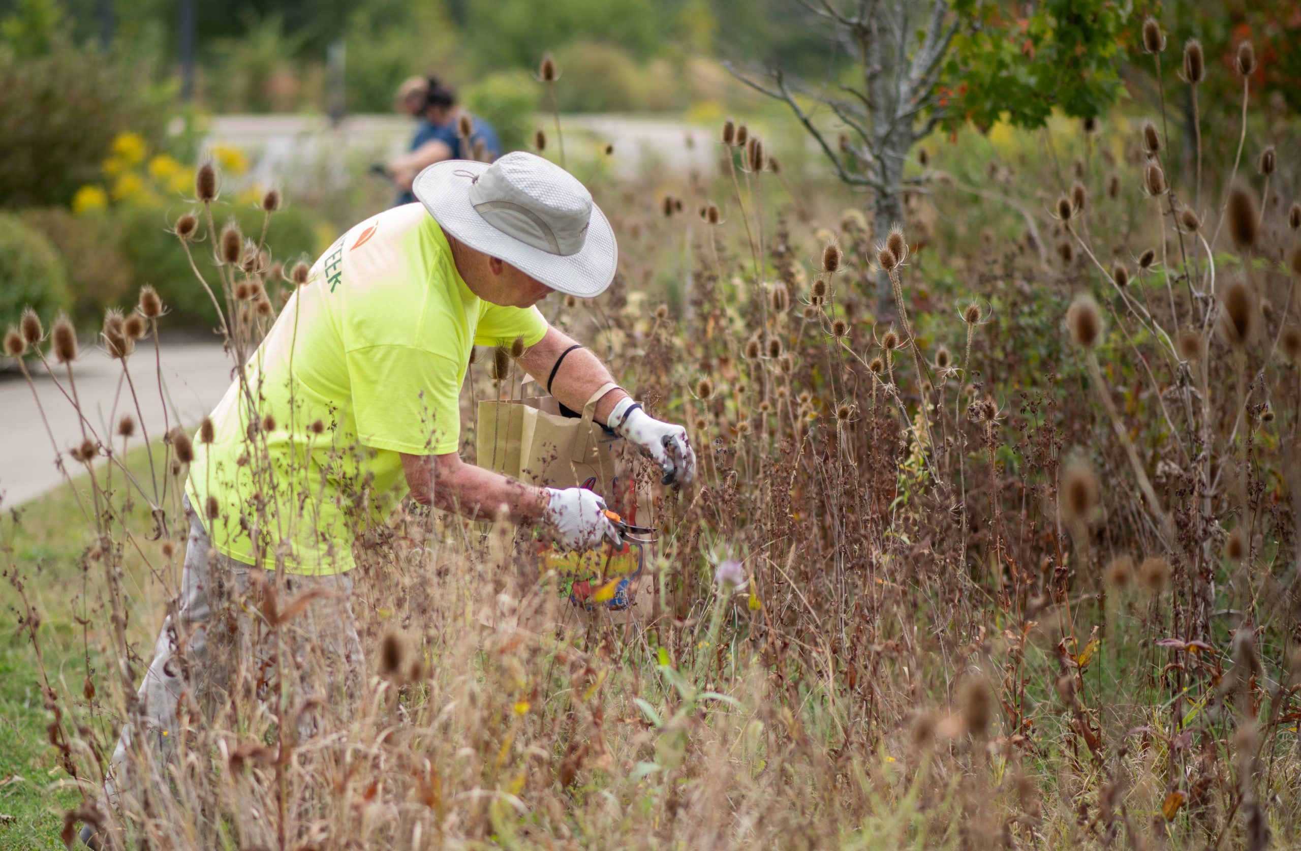 Volunteer working at park