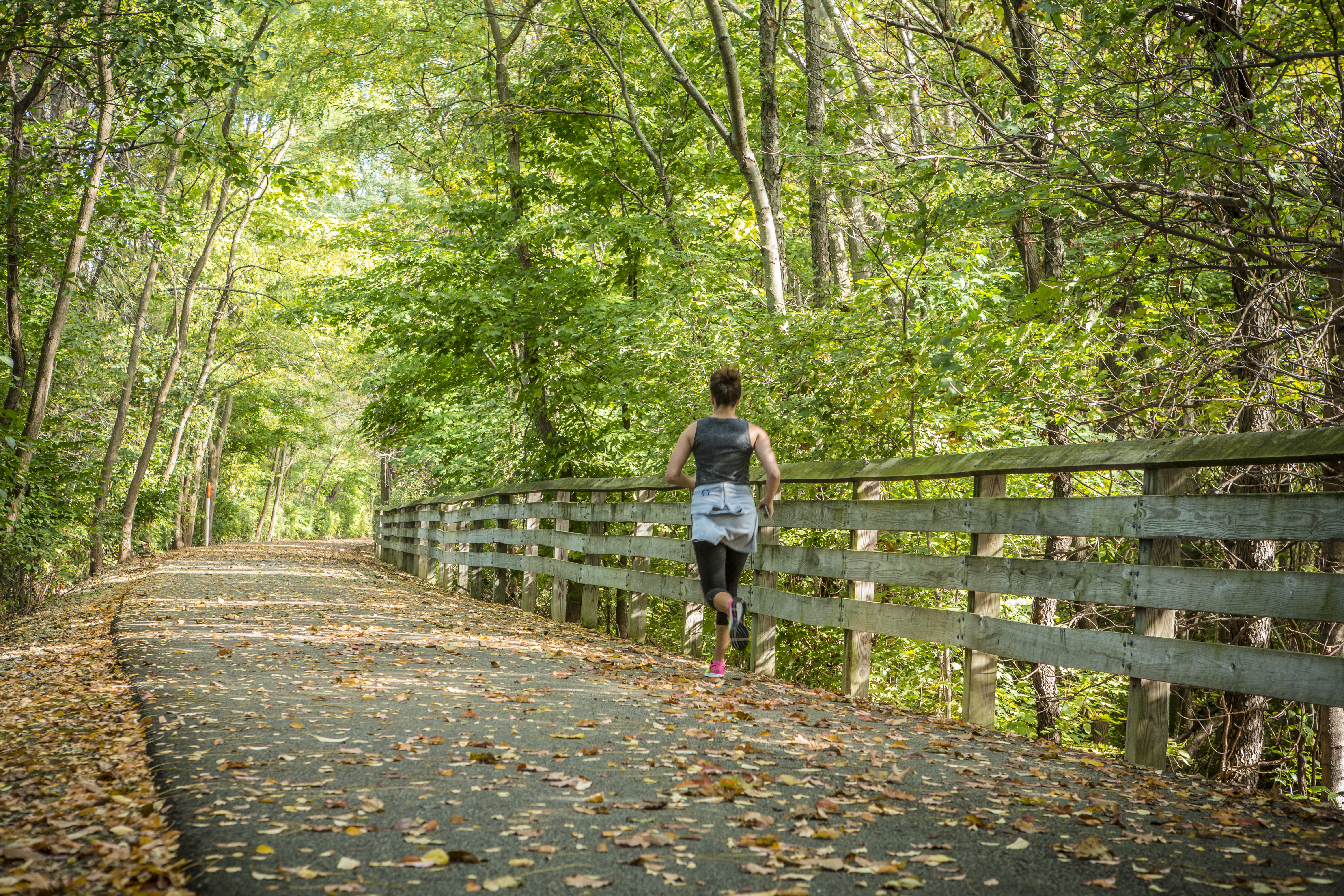 National Take a Hike Day