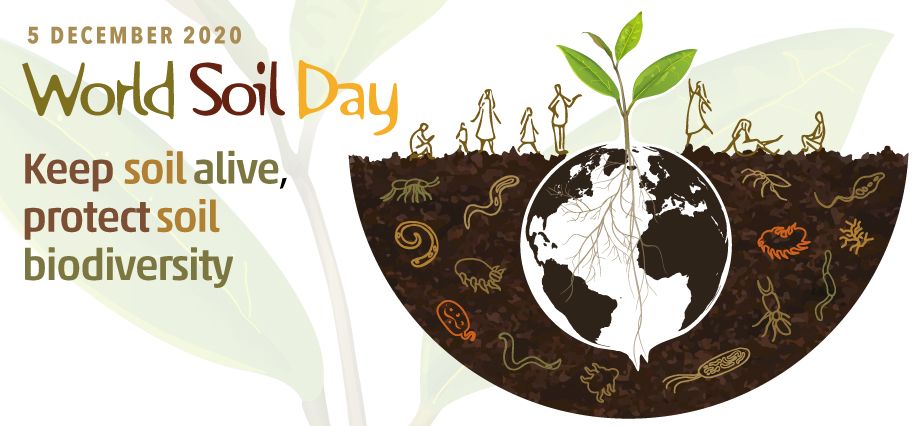 World Soil Day 2020