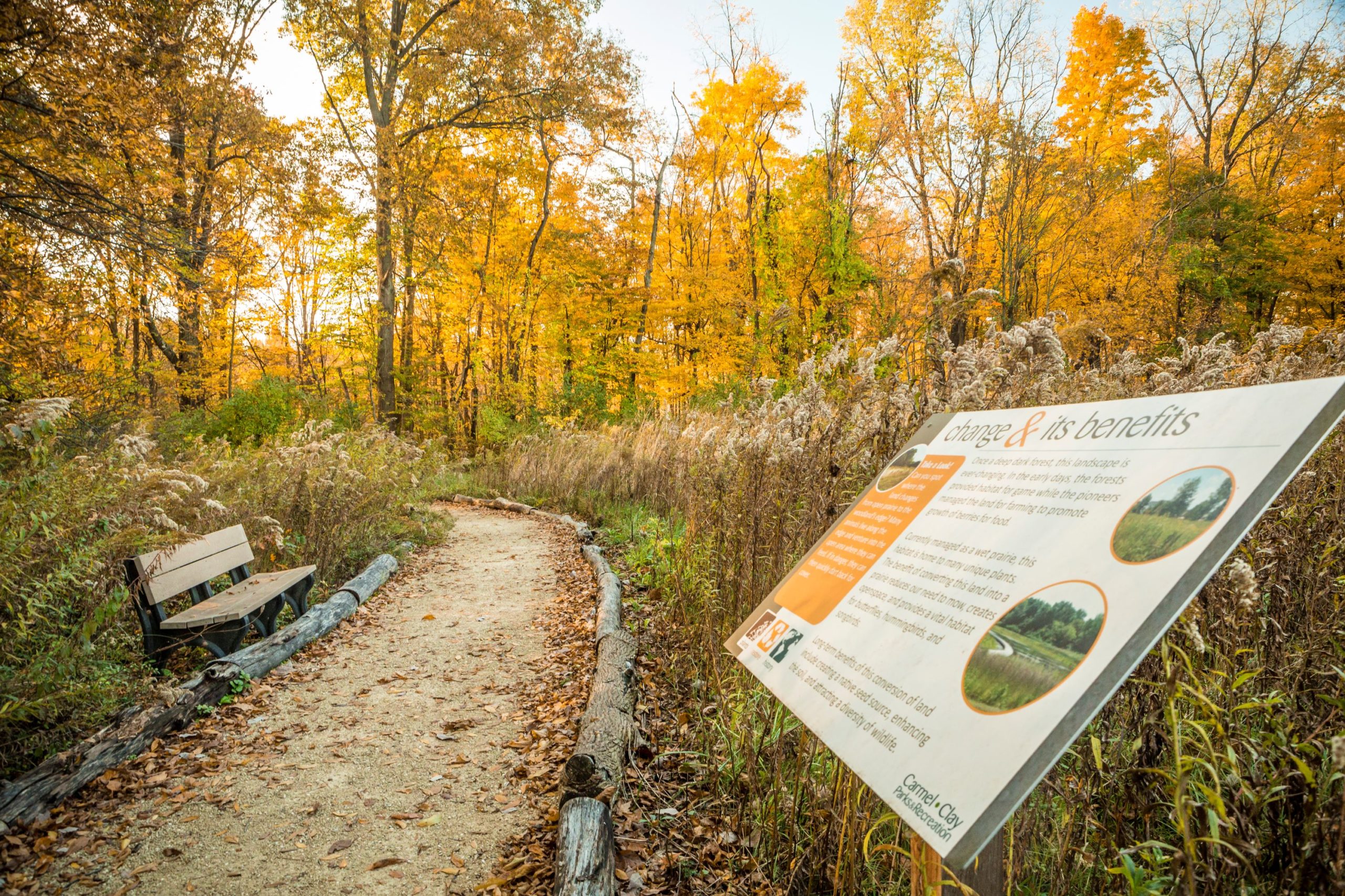 Interpretive Sign in a park