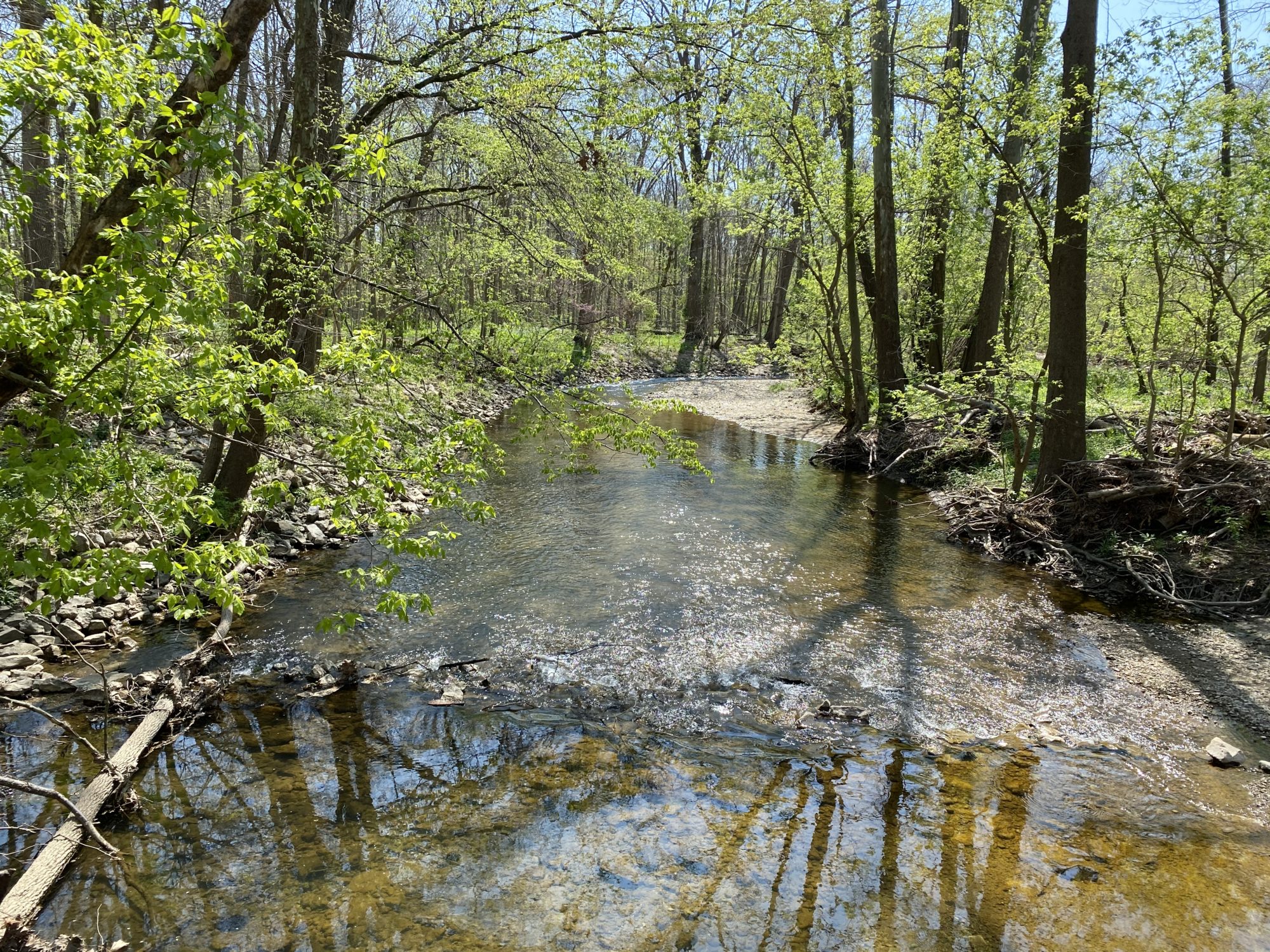 Flowing Well Park