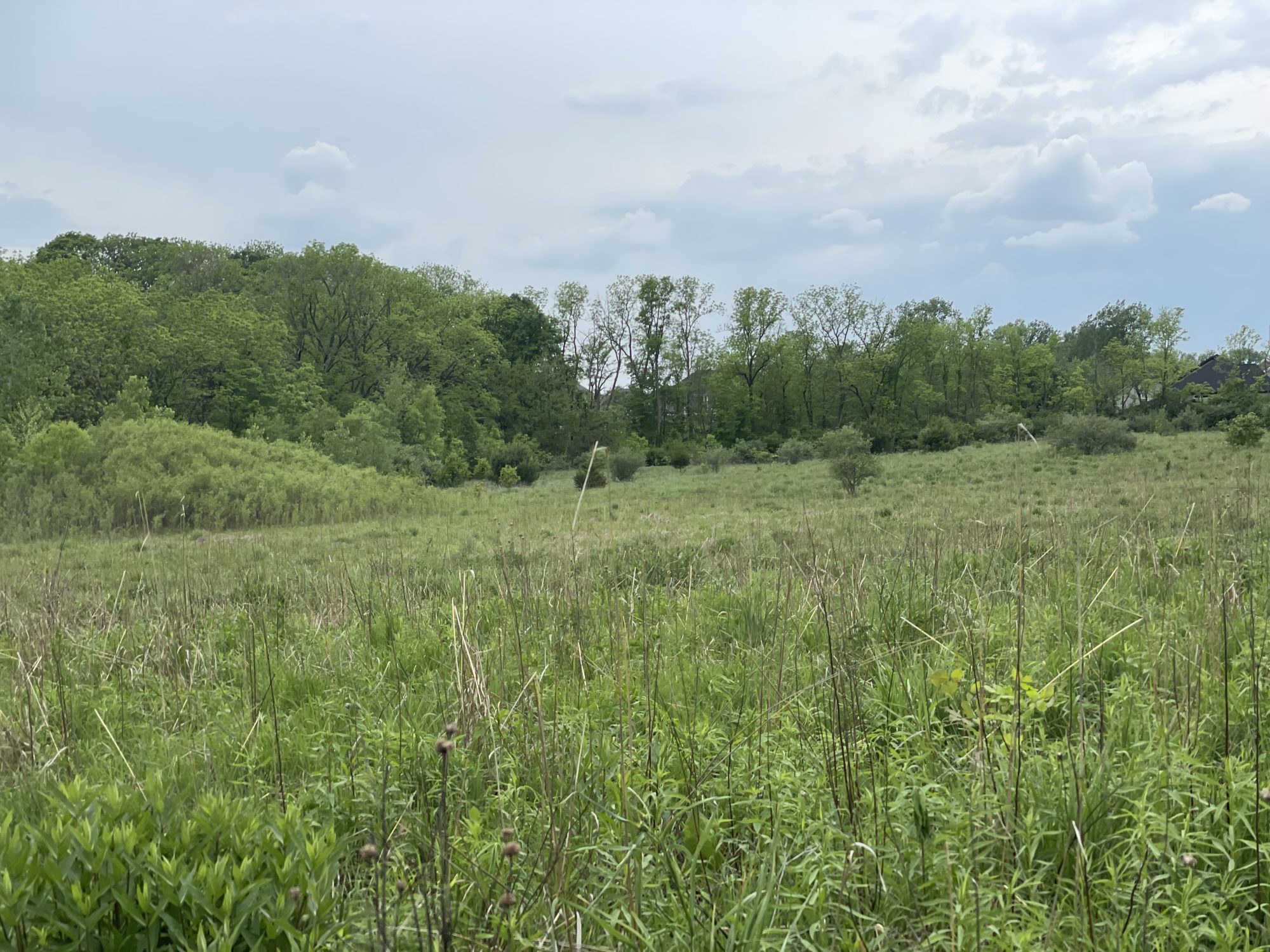 Bear Creek Park