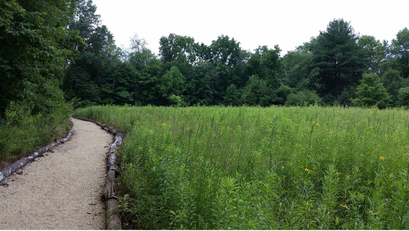 Central Park Prairie