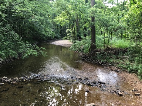 Cool Creek Watershed