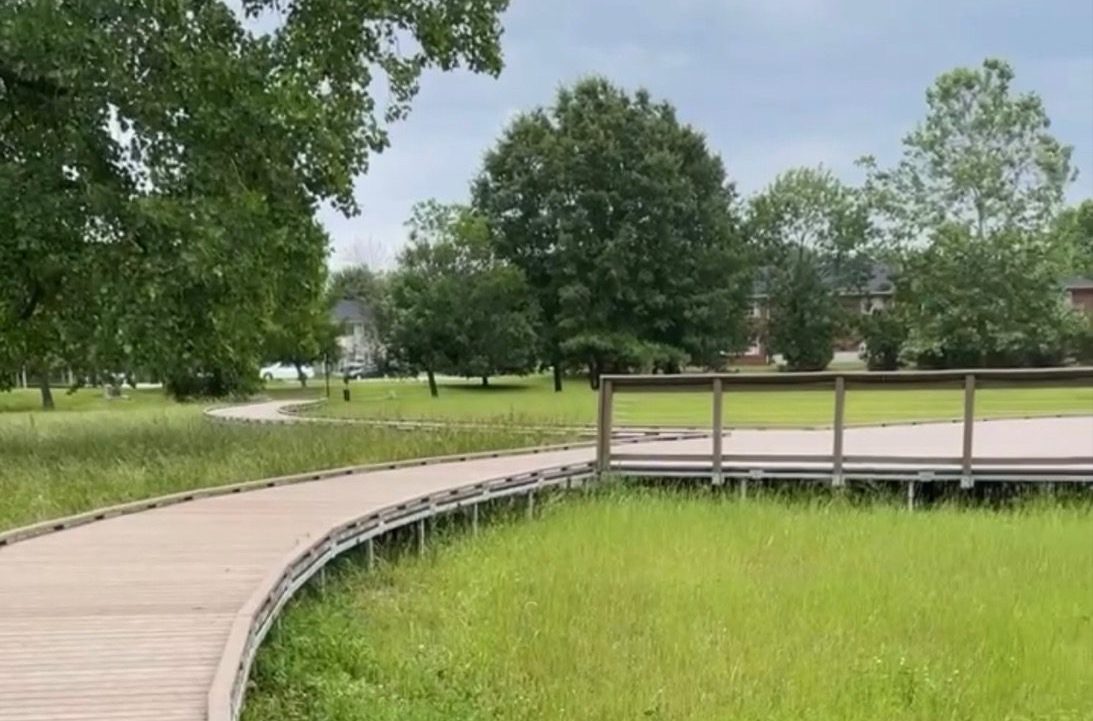 Reimagined boardwalk at Meadowlark Park.