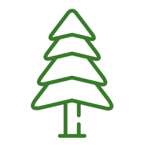 Pine Tree Icon