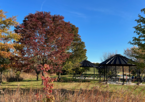 Silo picnic shelters in the fall at West Park