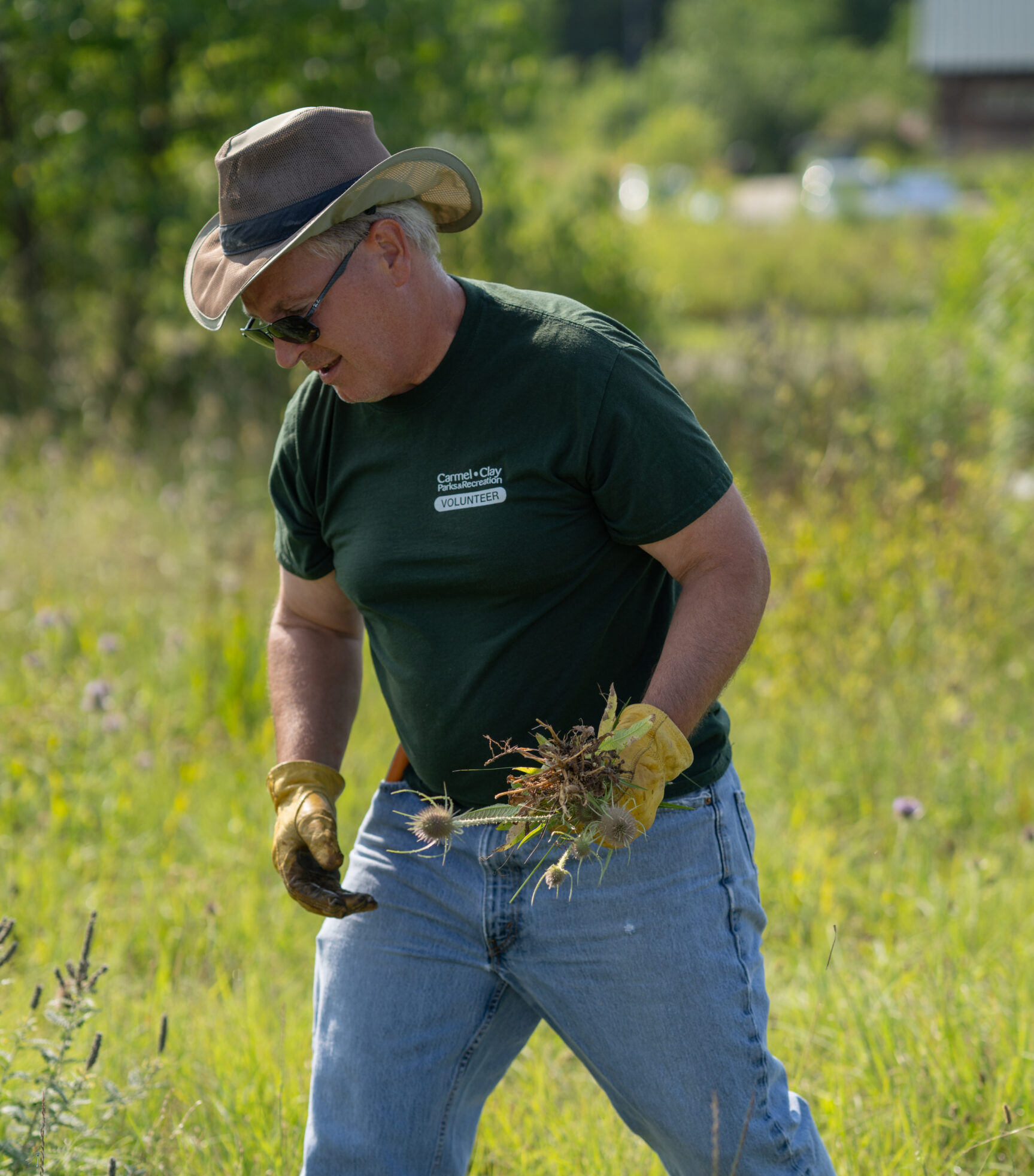 Volunteer picks up invasive species in Founders Park.