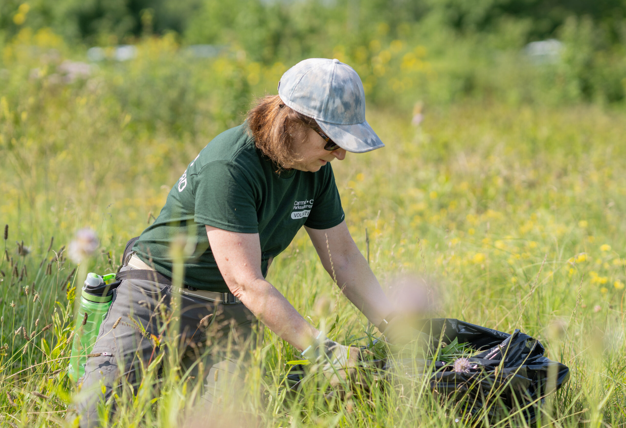 Volunteer picks invasive species in Founders Park.